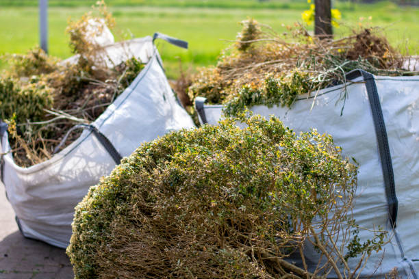 Best Local Junk Hauling  in Round Lake, IL
